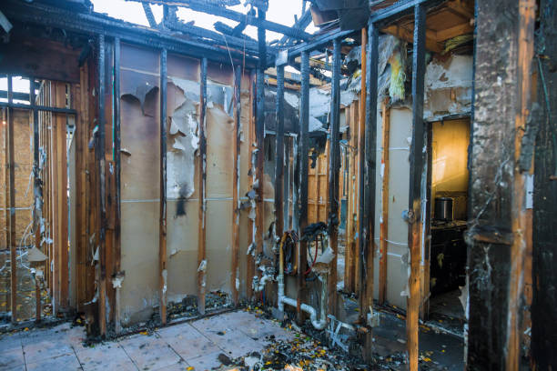 Professional Smoke Damage Removal technician working in Texanna, OK